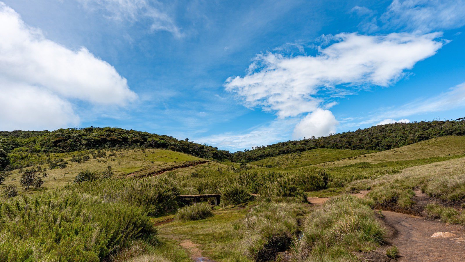 Hiking trail through Sri Lanka highlands