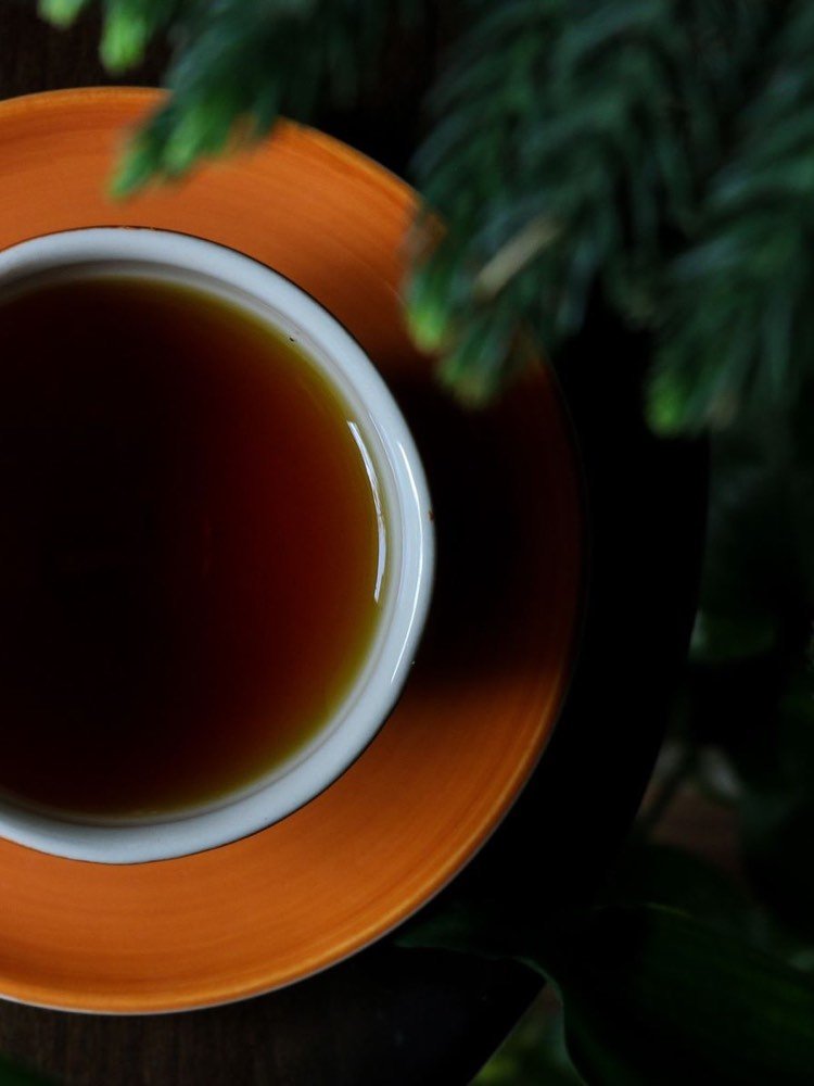 Tea cup in warm light