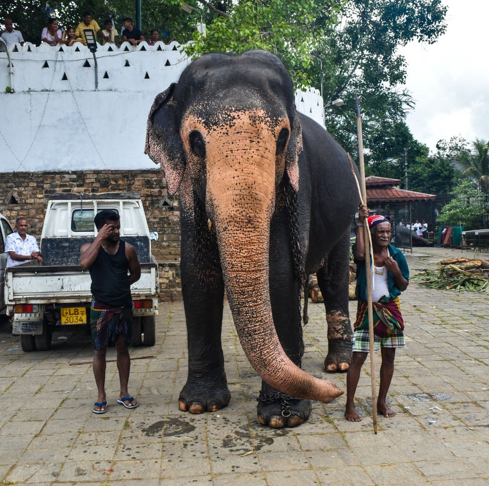 Sri Lanka living traditions