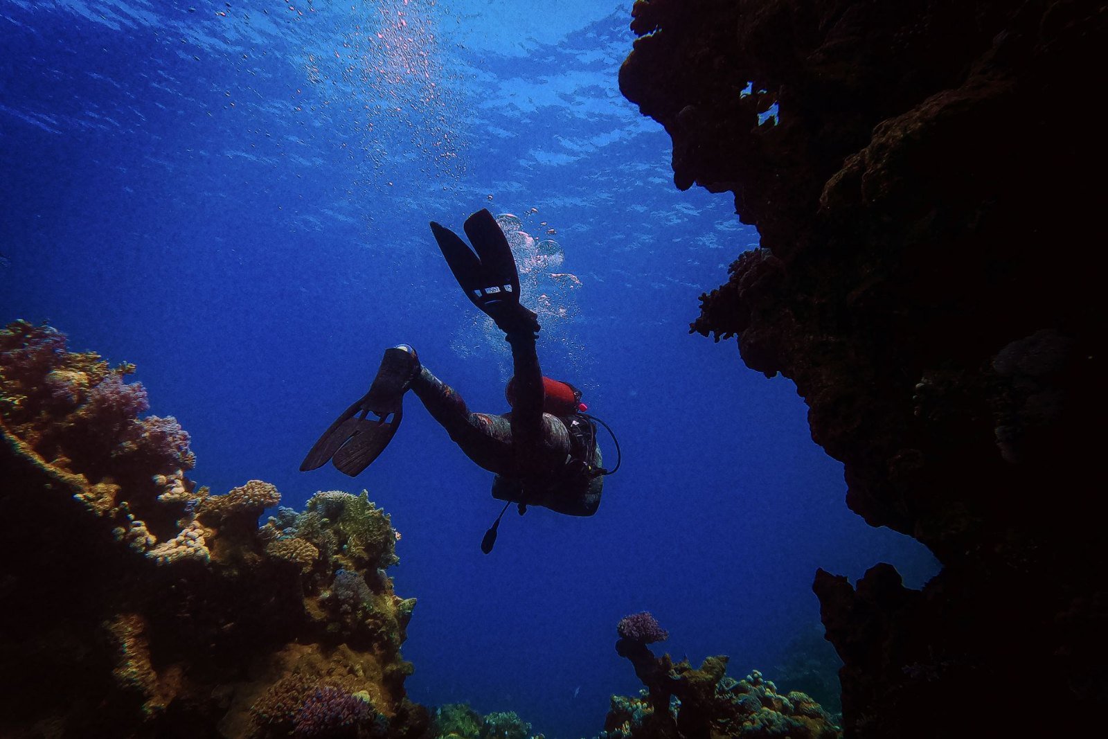 Diving Main Image