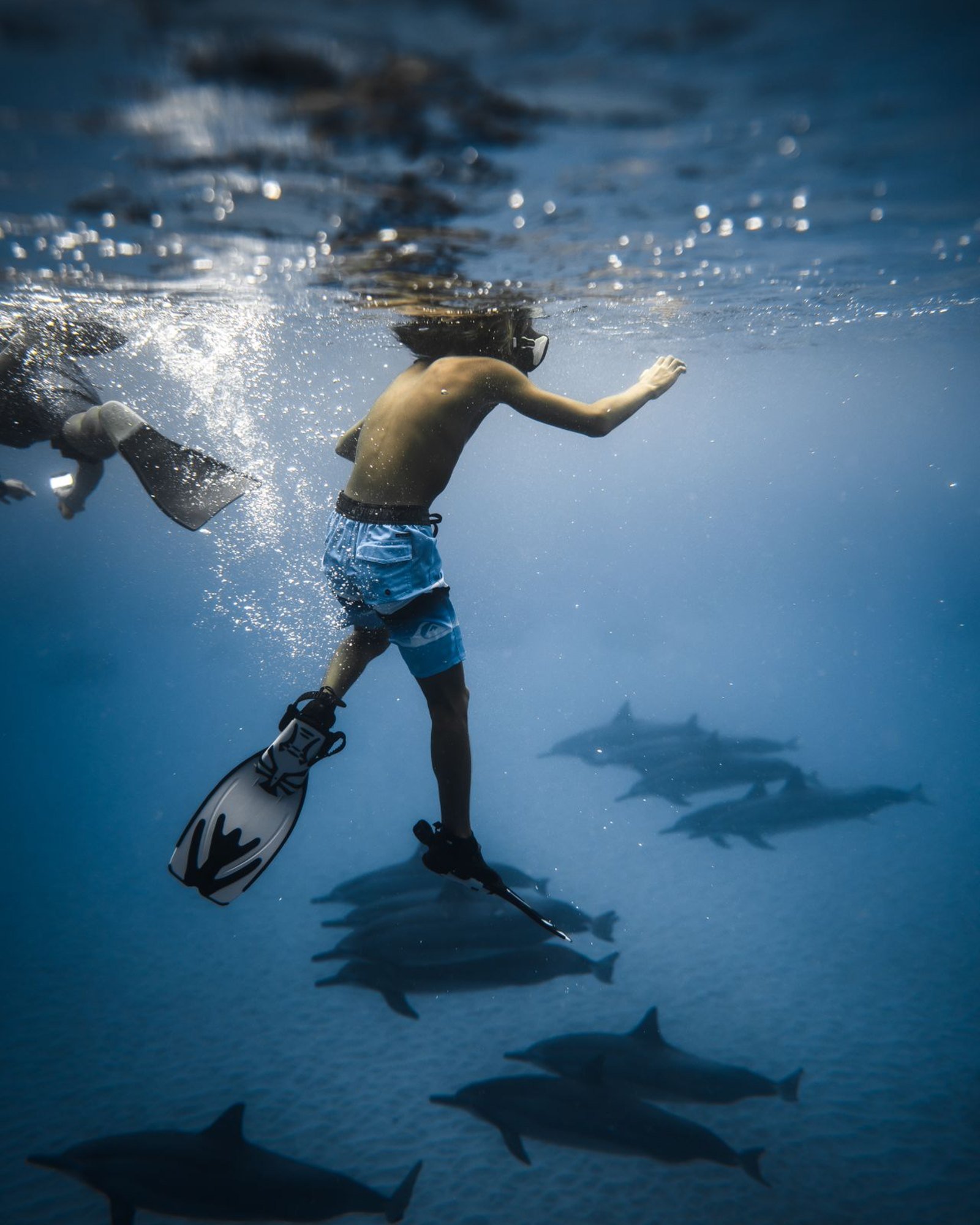 Dive Gallery 09